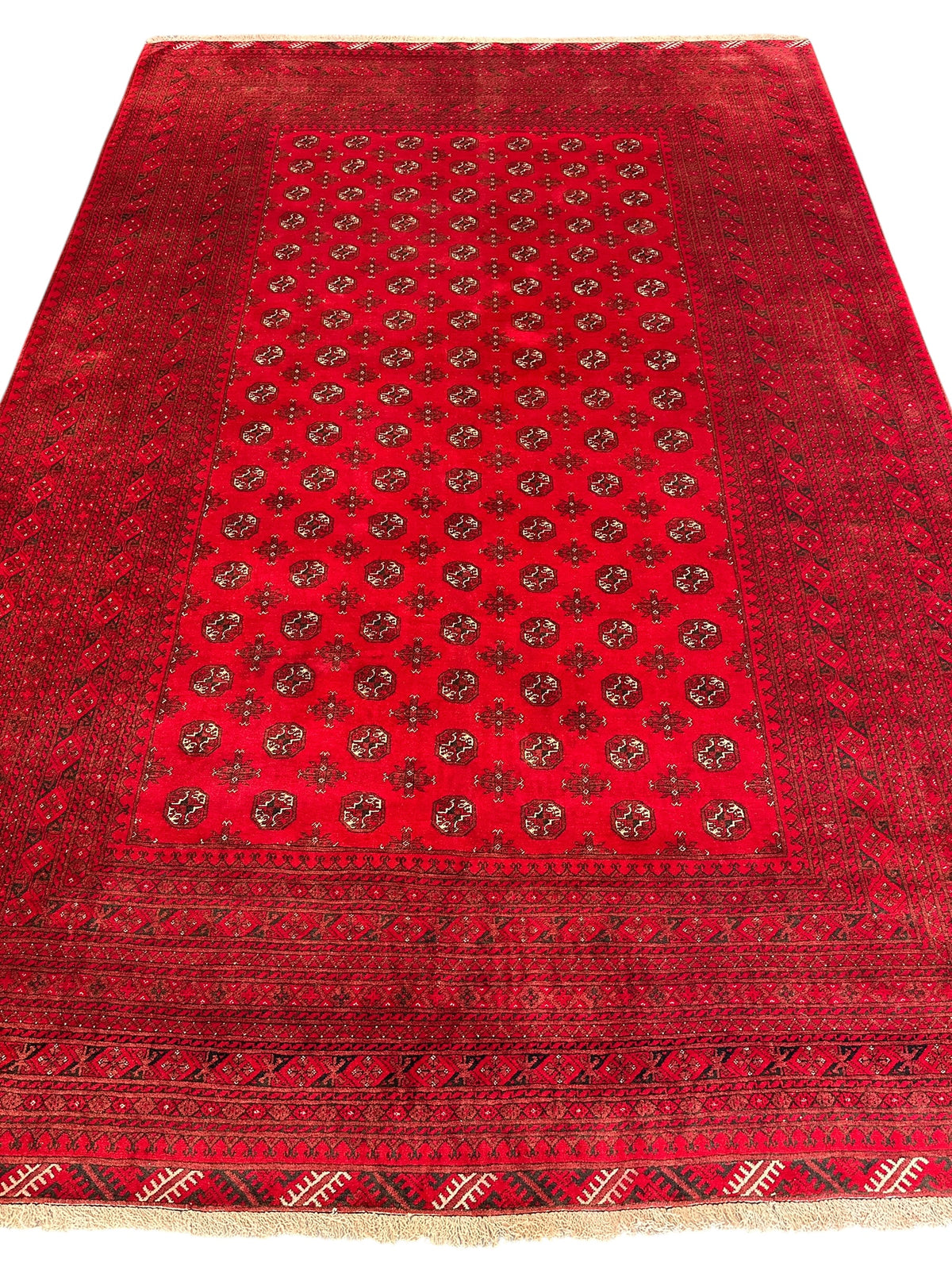 Afghan Mauri Rug 6x9, Red, Burgundy & Ivory, Hand-Knotted Wool, view 3