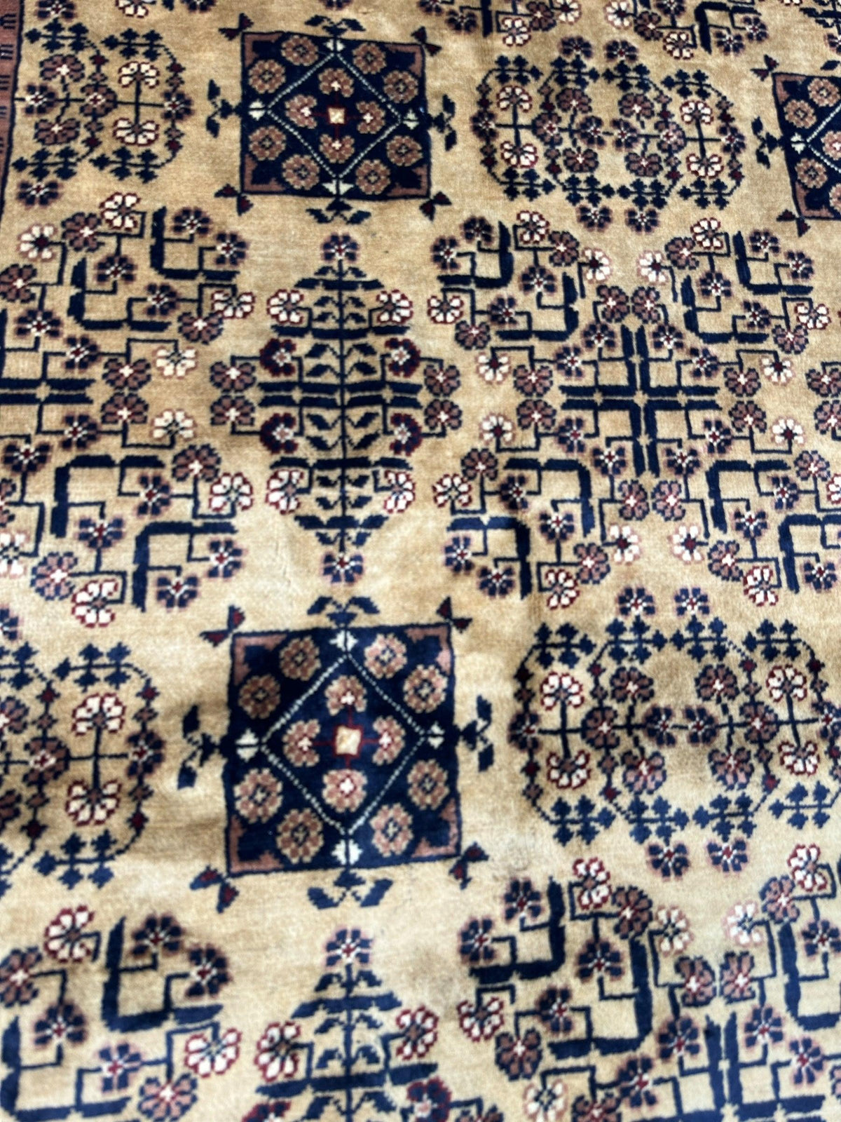 Afghan Turkmen Rug 8x12, Gold, Navy & Ivory, Hand-Knotted Wool, view 4