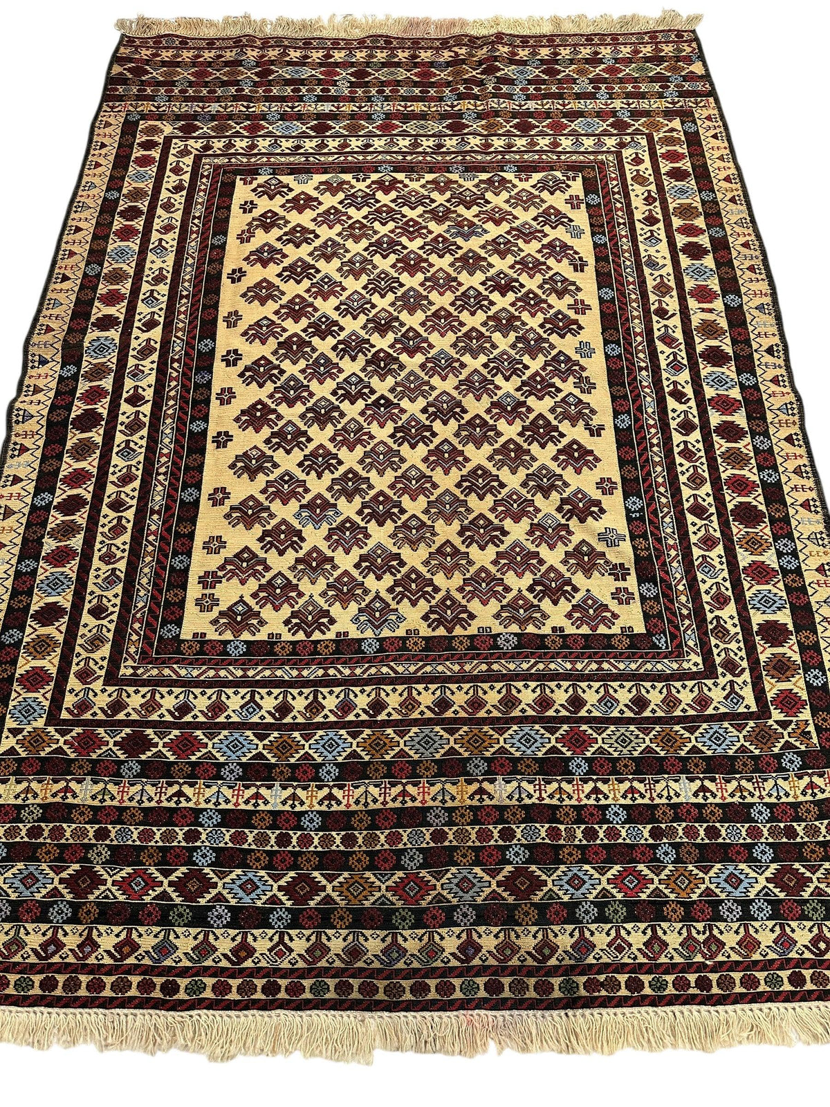 Afghani Kilim 5x8 size range tribal laid flat
