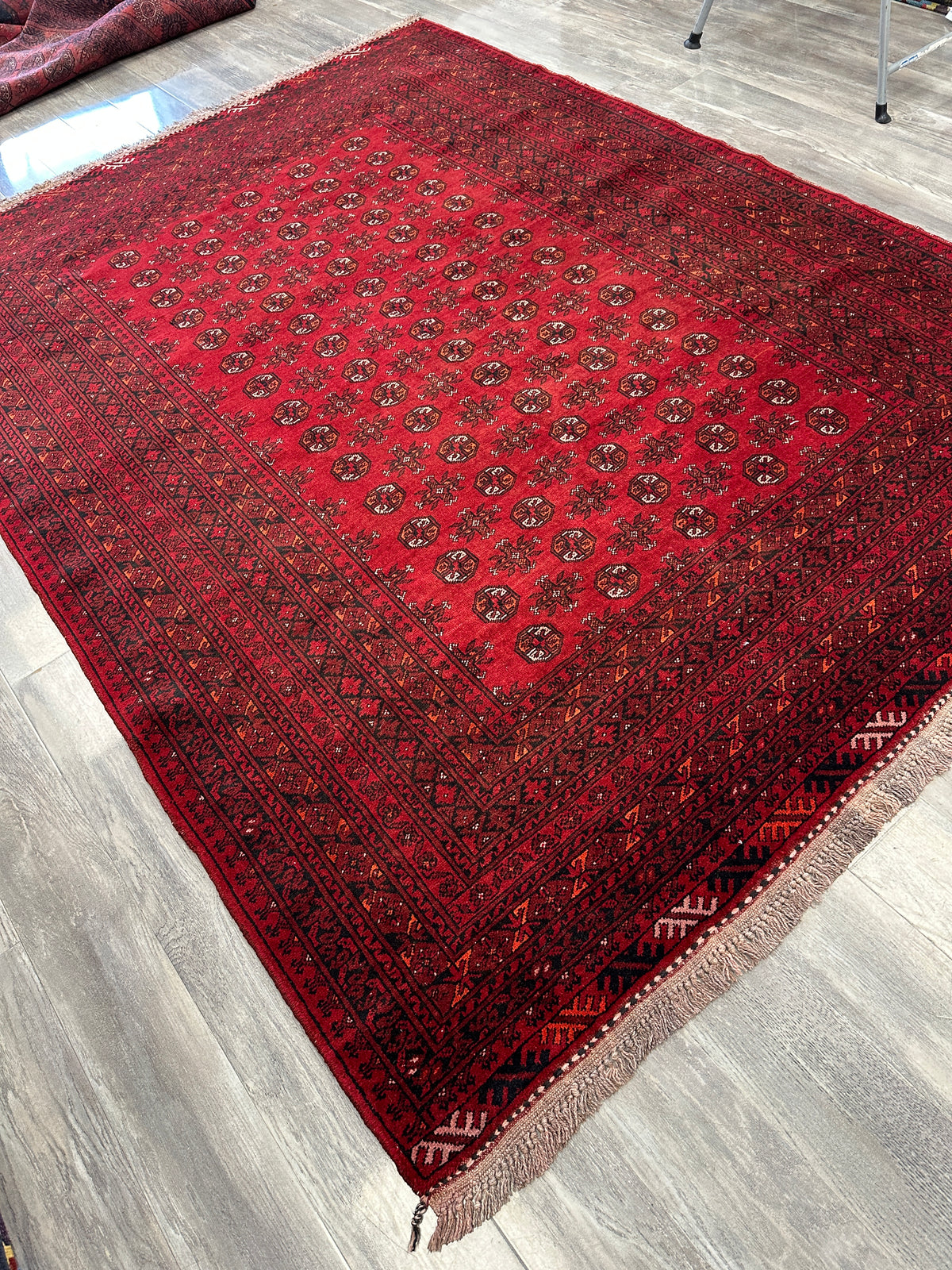 Afghan Turkmen Gul Rug 7x9, Red, Burgundy, Navy & Ivory, Hand-Knotted Wool, view 5
