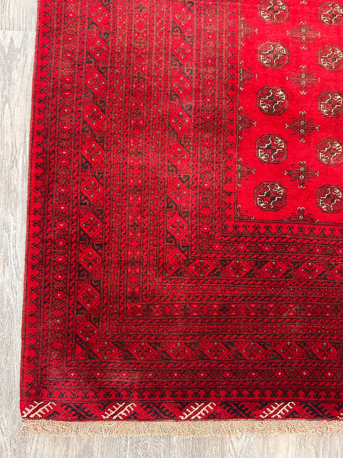 Afghan Mauri Rug 6x9, Red, Burgundy & Ivory, Hand-Knotted Wool, view 6
