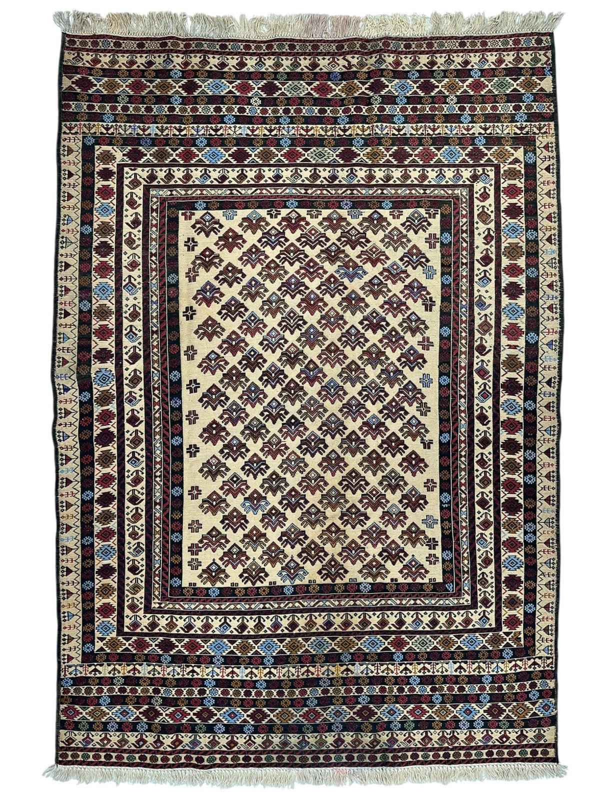 Afghani Kilim 5x8 size range tribal laid flat