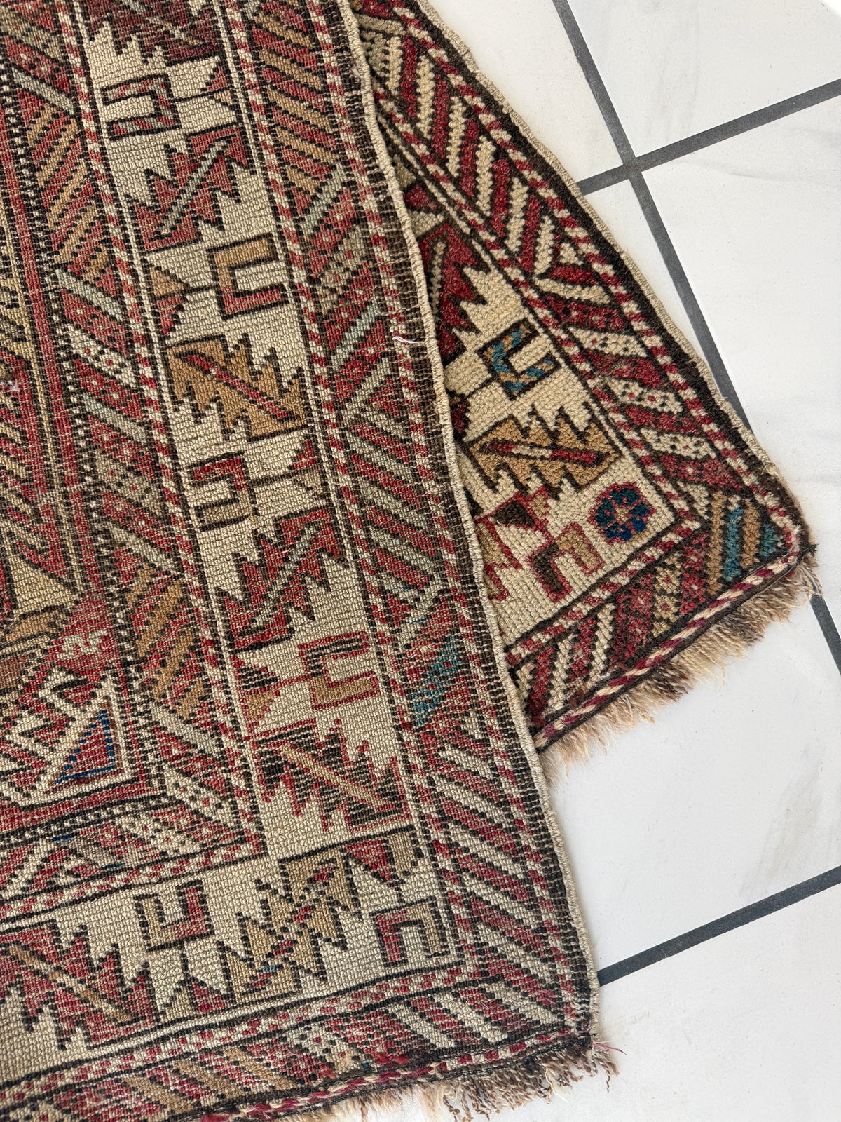 Antique Caucasian Shirvan Rug 3'5" x 6'3", Wool, c. 1900, view 4