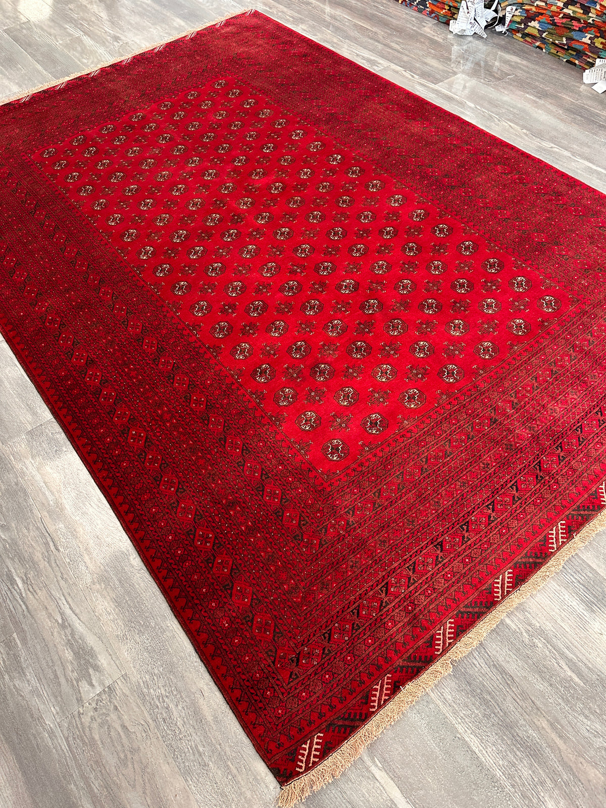 Afghan Mauri Rug 6x9, Red, Burgundy & Ivory, Hand-Knotted Wool, view 4