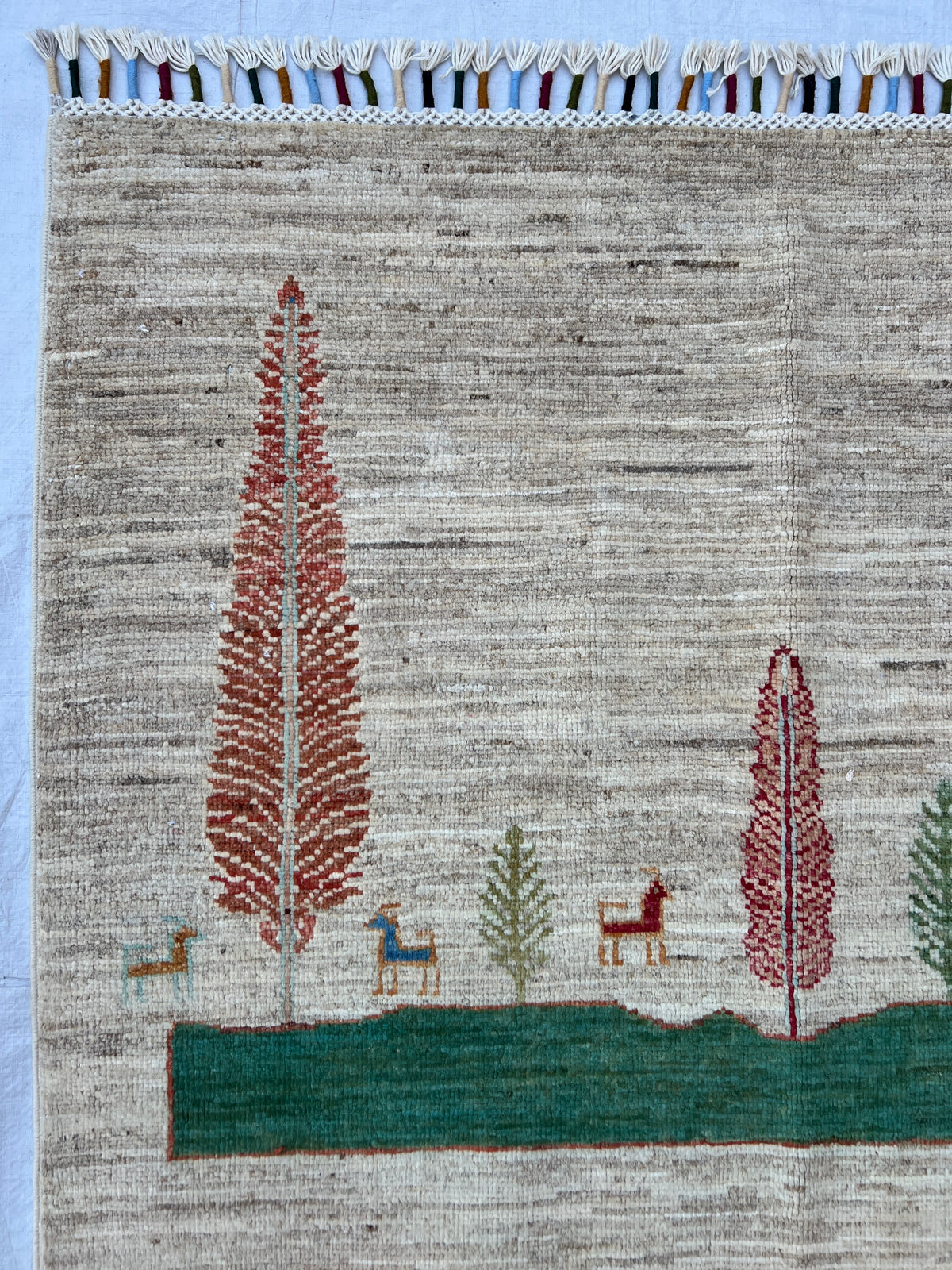 Chobi Rug 7x9 | hand-knotted wool | close-up of pile and border