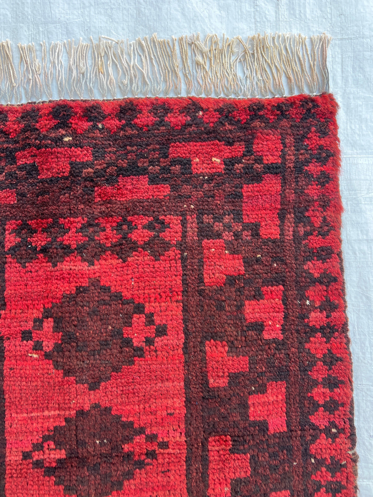 Baluch Rug 2x2 | Red, Brick & Charcoal | hand-knotted wool | close-up of pile and border