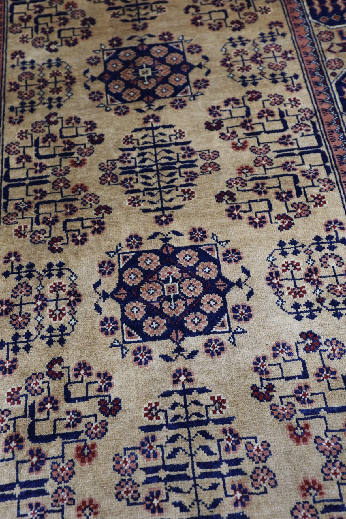 Afghan Bukhara Runner 2'10" x 9'11", Hand-Knotted Wool, Beige, view 4