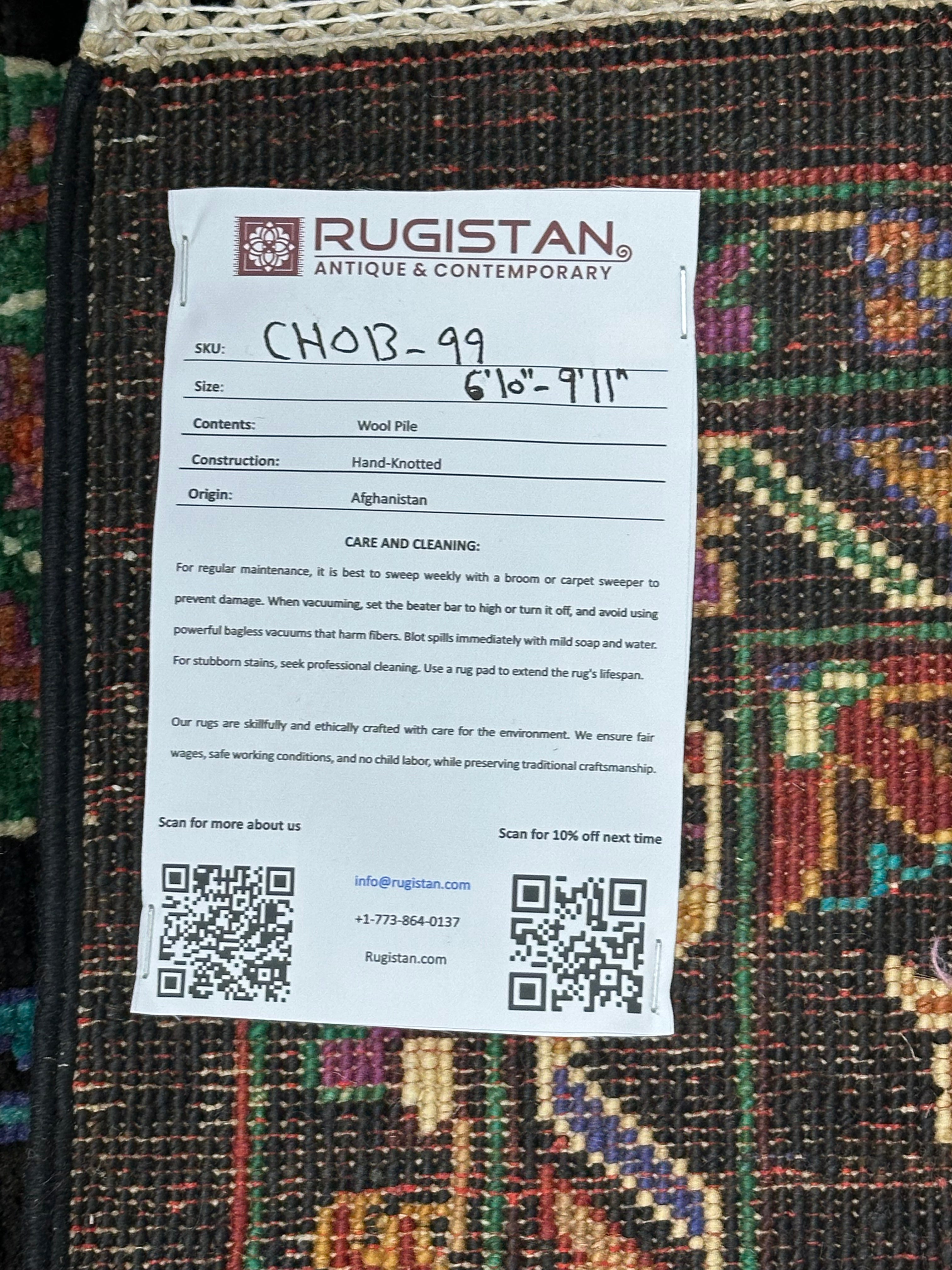 Afghan Chobi Sultani Rug 6'9" x 9'11", Hand-Knotted Ghazni Wool, view 5