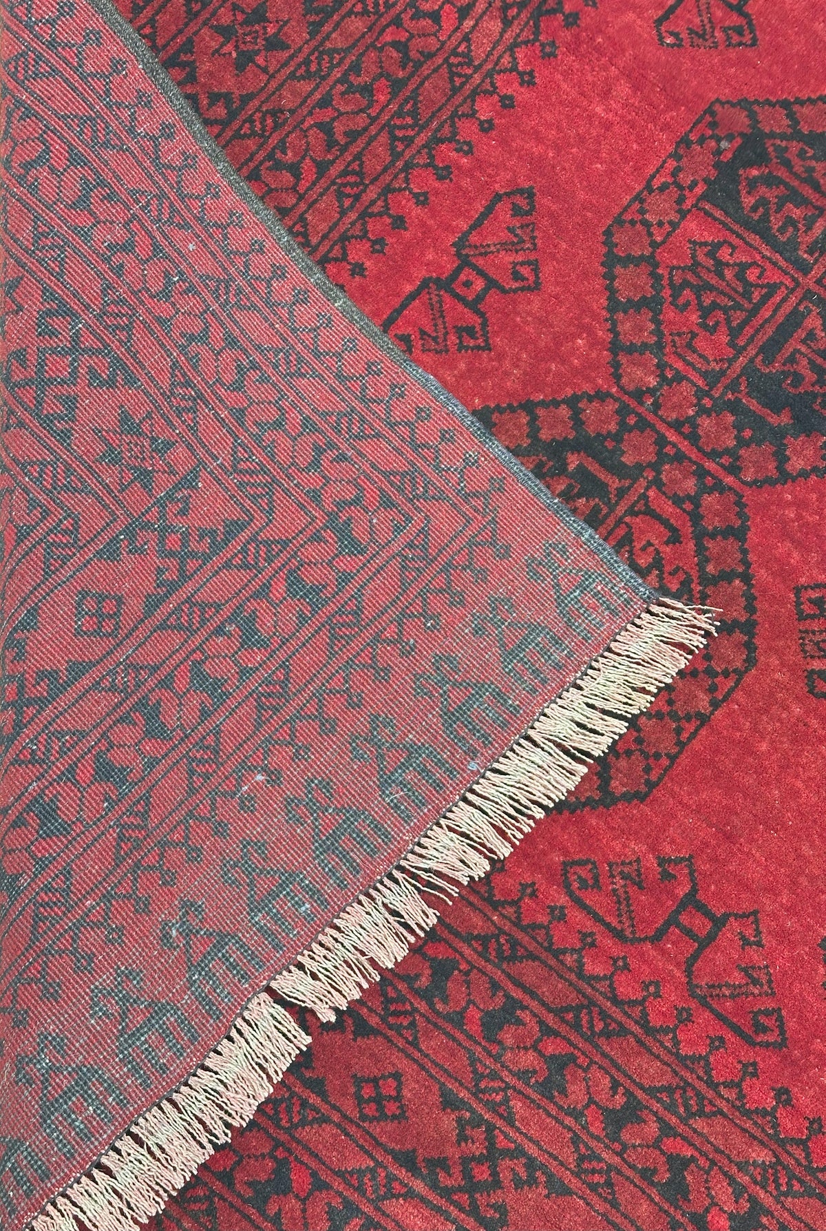 Afghan Bukhara Rug 6'8" x 9'5", Hand-Knotted Wool, Red & Black, view 3
