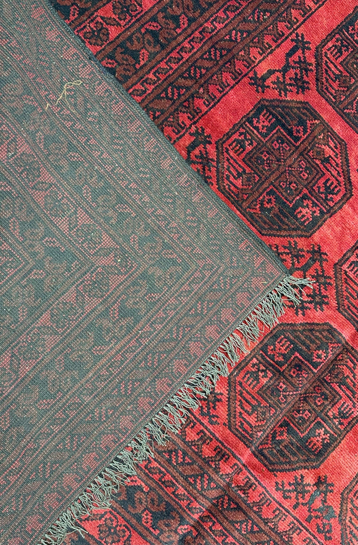 Afghan Bukhara Rug 6'6" x 9'4", Hand-Knotted Wool, Red & Black, view 3
