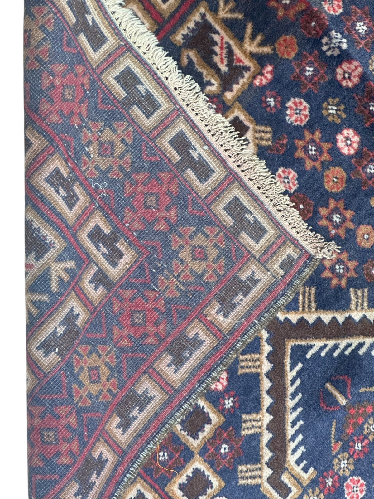 Afghan Patnos Rug 4'9" x 9'8", Hand-Knotted Wool, Red, Blue & Cream, view 3