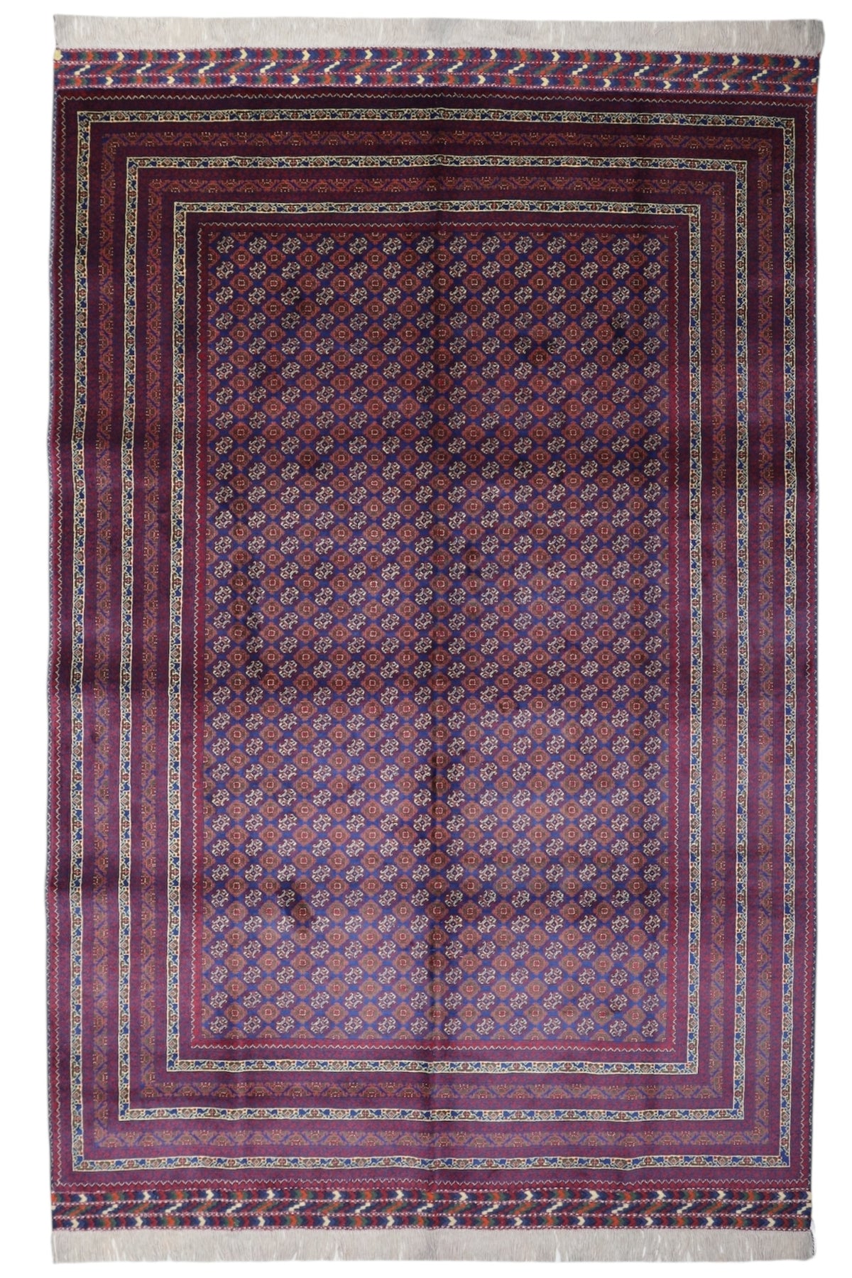 Afghani Rug 7x10 size range tribal Red Blue laid flat