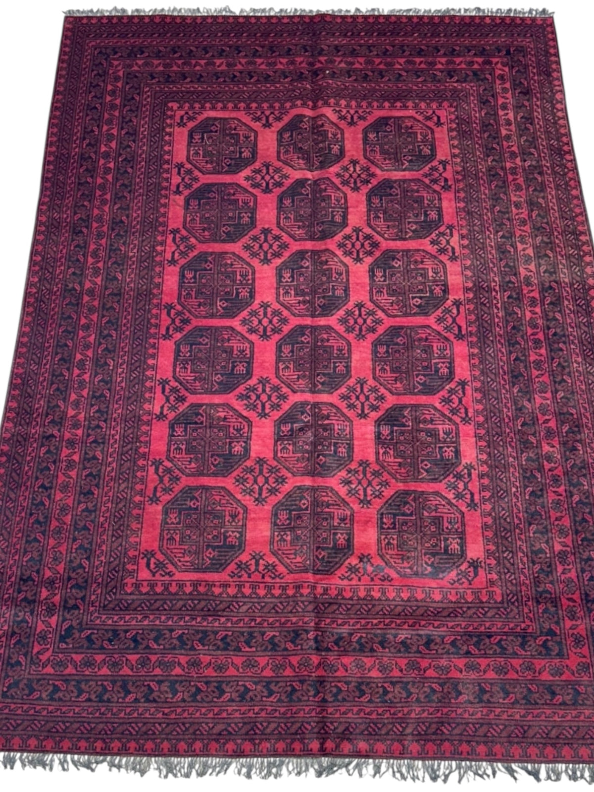 Afghan Bukhara Rug 6'6" x 9'4", Hand-Knotted Wool, Red & Black, view 2