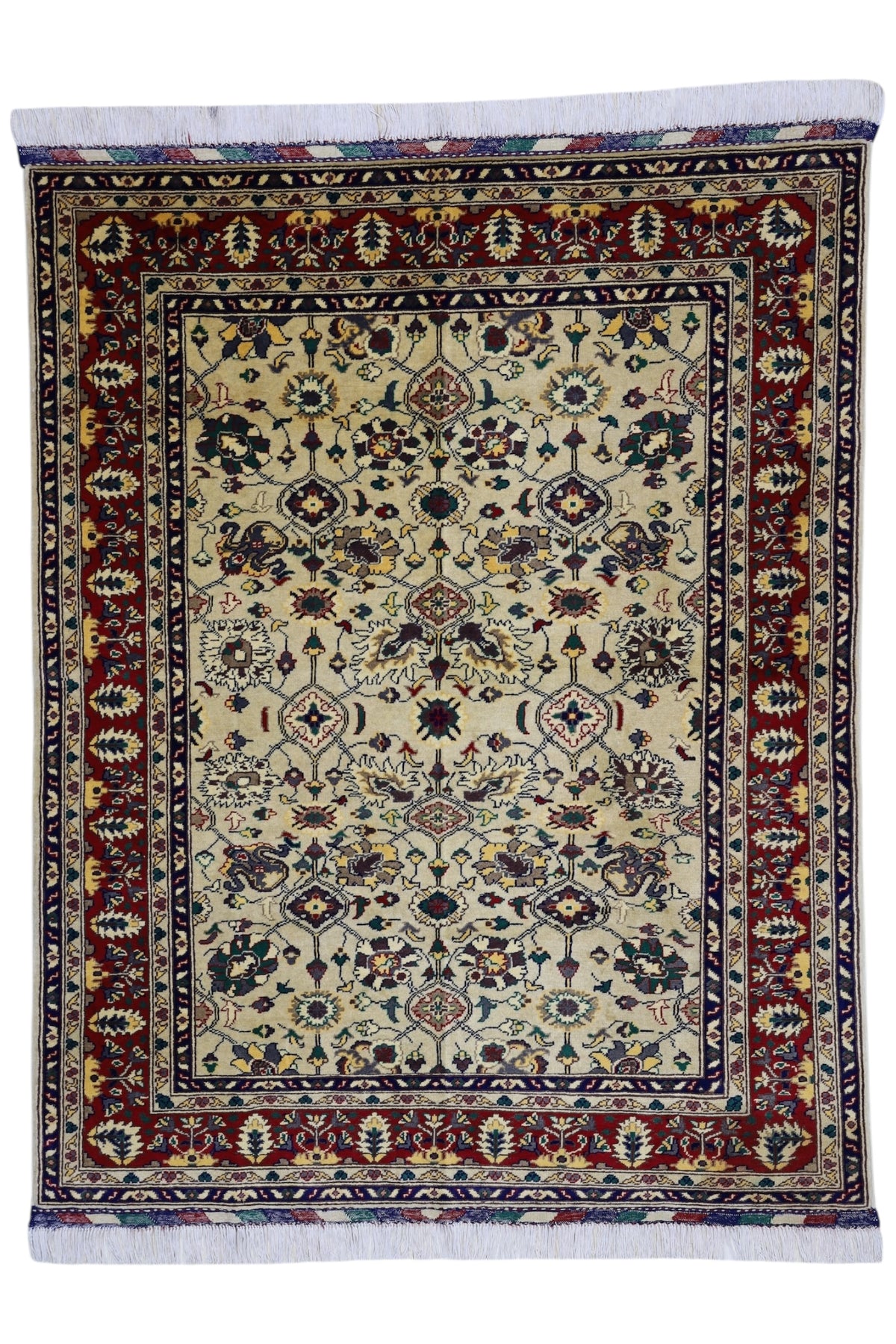Afghani Rug 5x8 size range tribal Red Cream laid flat