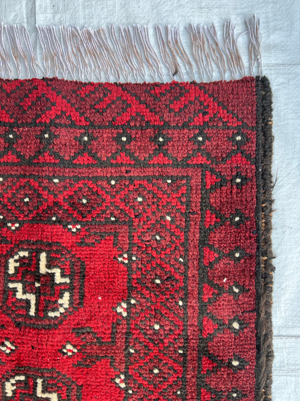 Baluch Turkmen Gul Rug 2x2 | Red, Black & Ivory | hand-knotted wool | close-up of pile and border