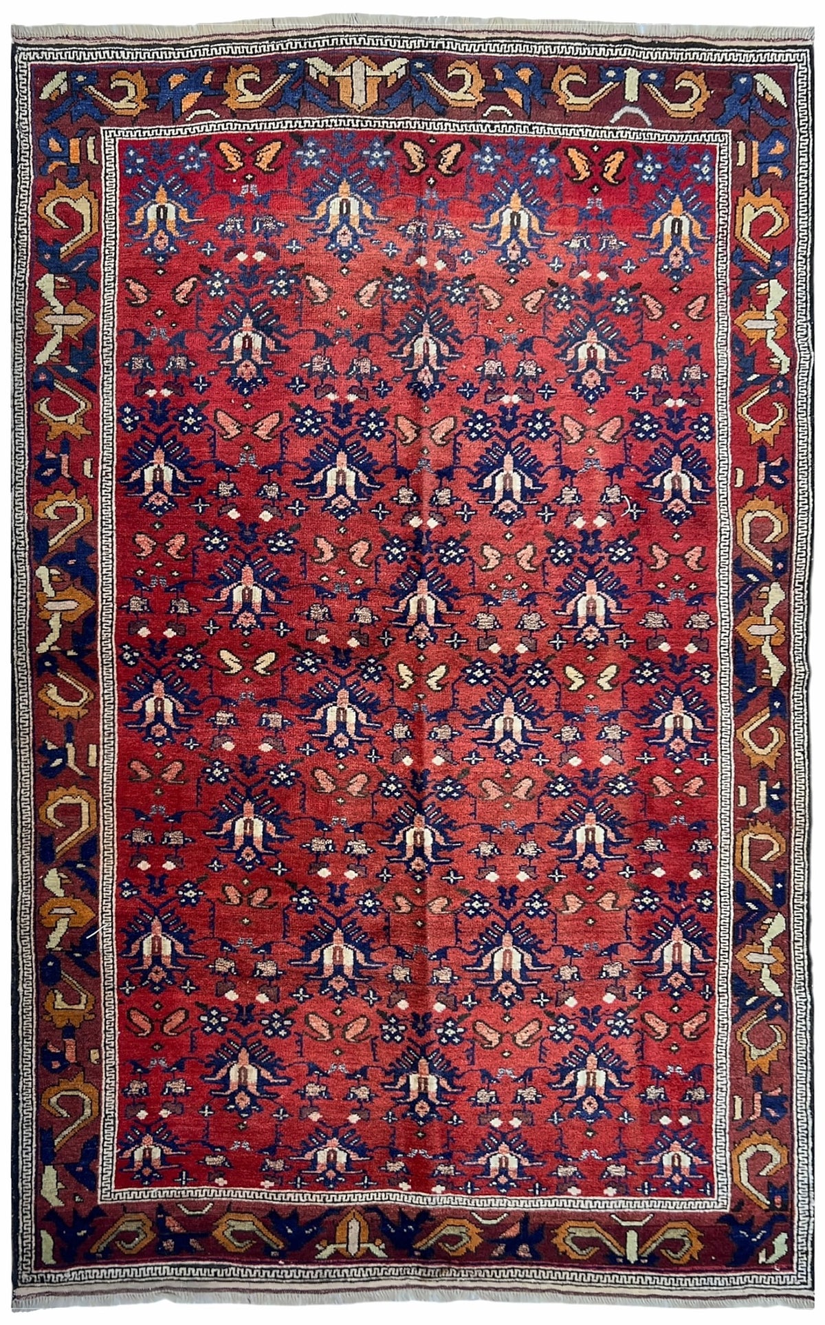Afghan Herati Rug 4x7 | red field with small navy and ivory motifs inside a navy border with gold | allover design | hand-knotted wool