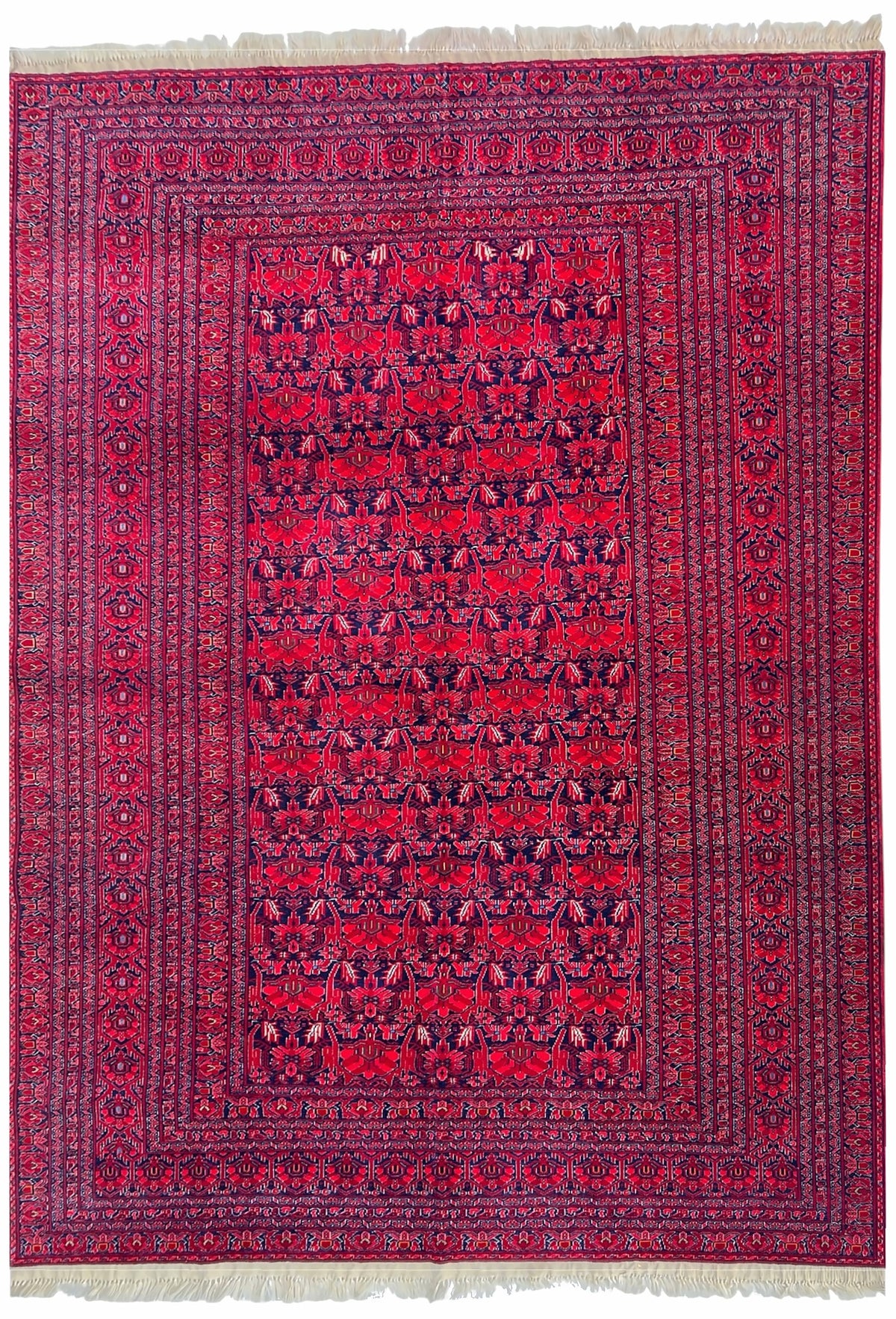 Afghan Herati Rug 7x9 | bright red field with an allover navy pattern | allover design | hand-knotted wool