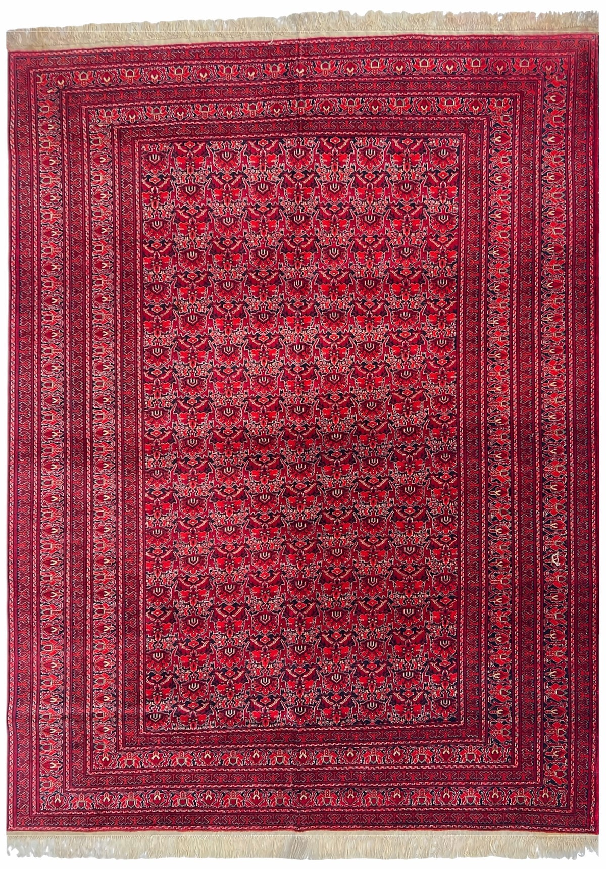 Afghan Herati Rug 7x9 | red field with an allover small motif pattern with navy & ivory | allover design | hand-knotted wool