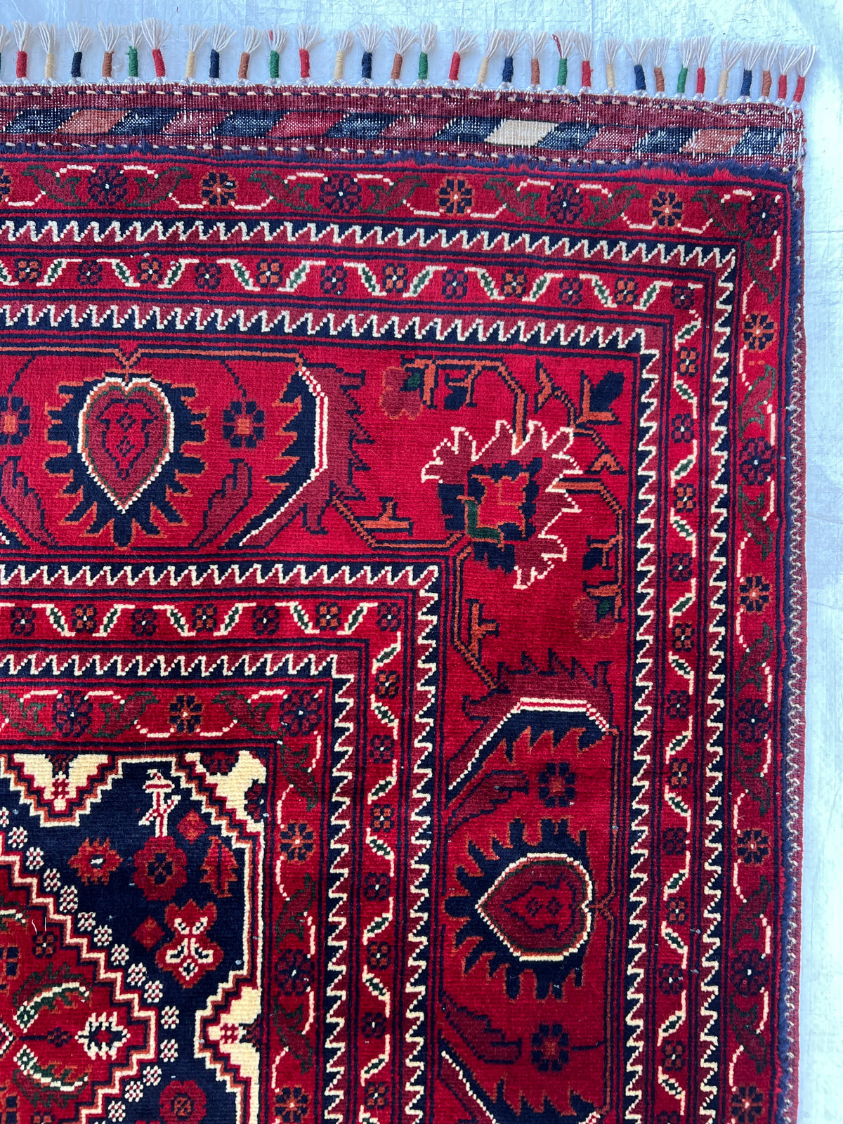 Kashi Rug 7x10 | Red, Ivory & Black | hand-knotted wool | close-up of pile and border