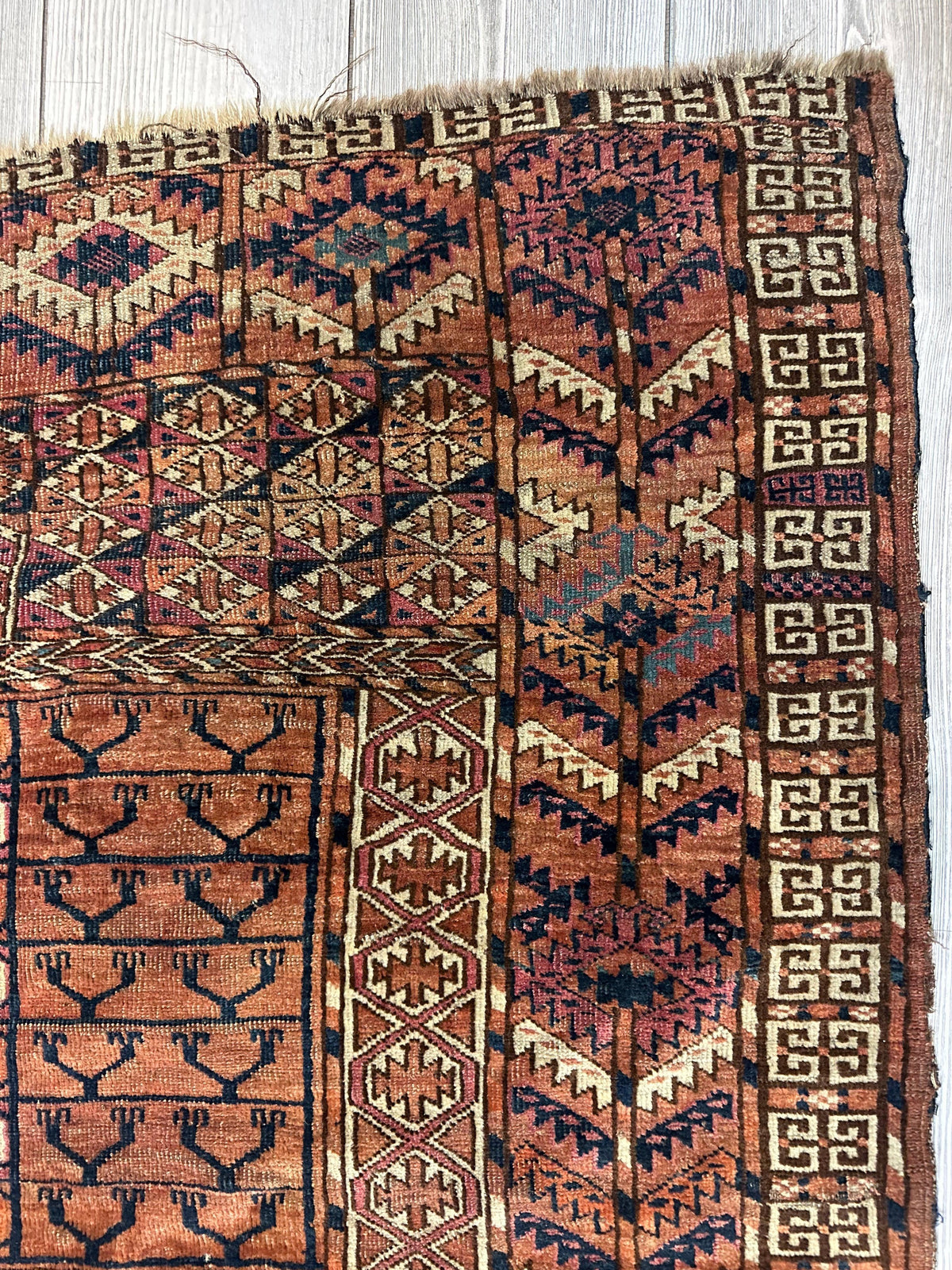Antique Tekke Rug 4' x 4'8", Hand-Knotted Wool, 1880s, view 6