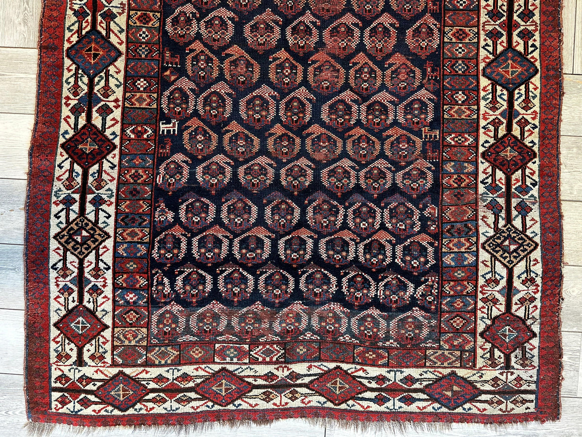 Antique Persian Afshar Rug 4'5" x 8'11", Hand-Knotted Wool, 1880s, view 4