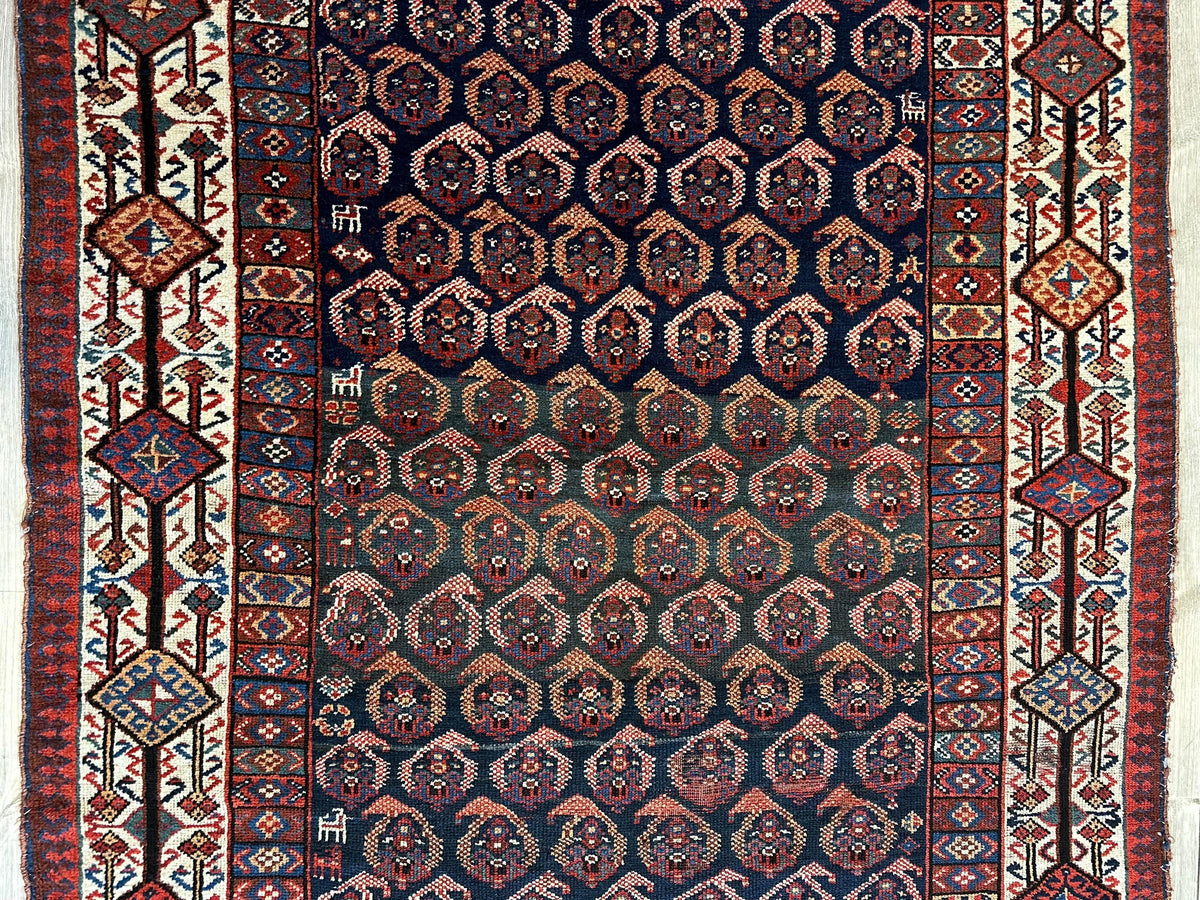Antique Persian Afshar Rug 4'5" x 8'11", Hand-Knotted Wool, 1880s, view 6