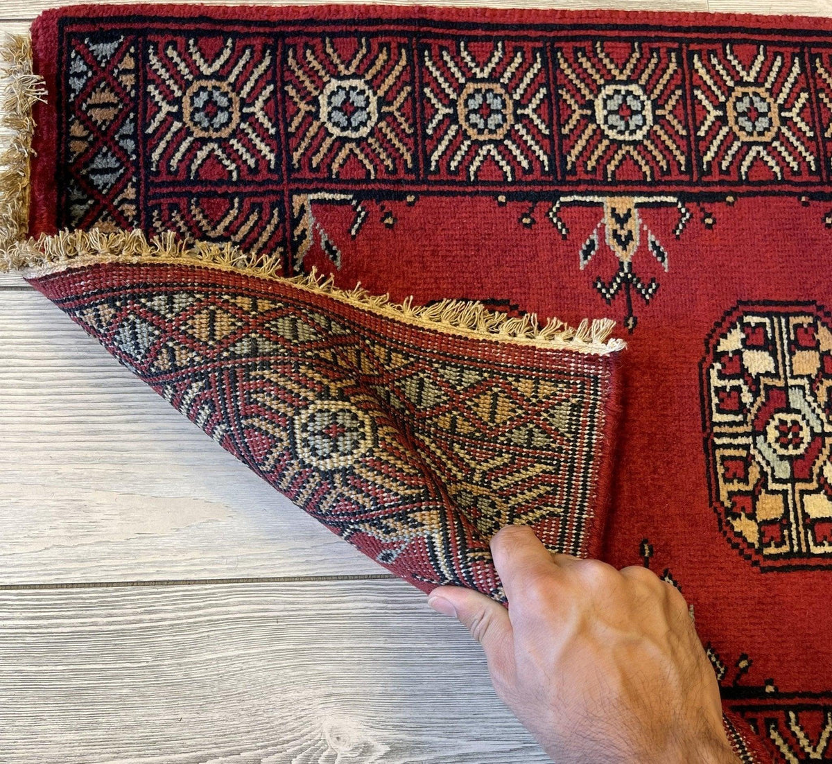Afghan Bukhara Rug 24" x 36", Wool, Cream & Red, view 4