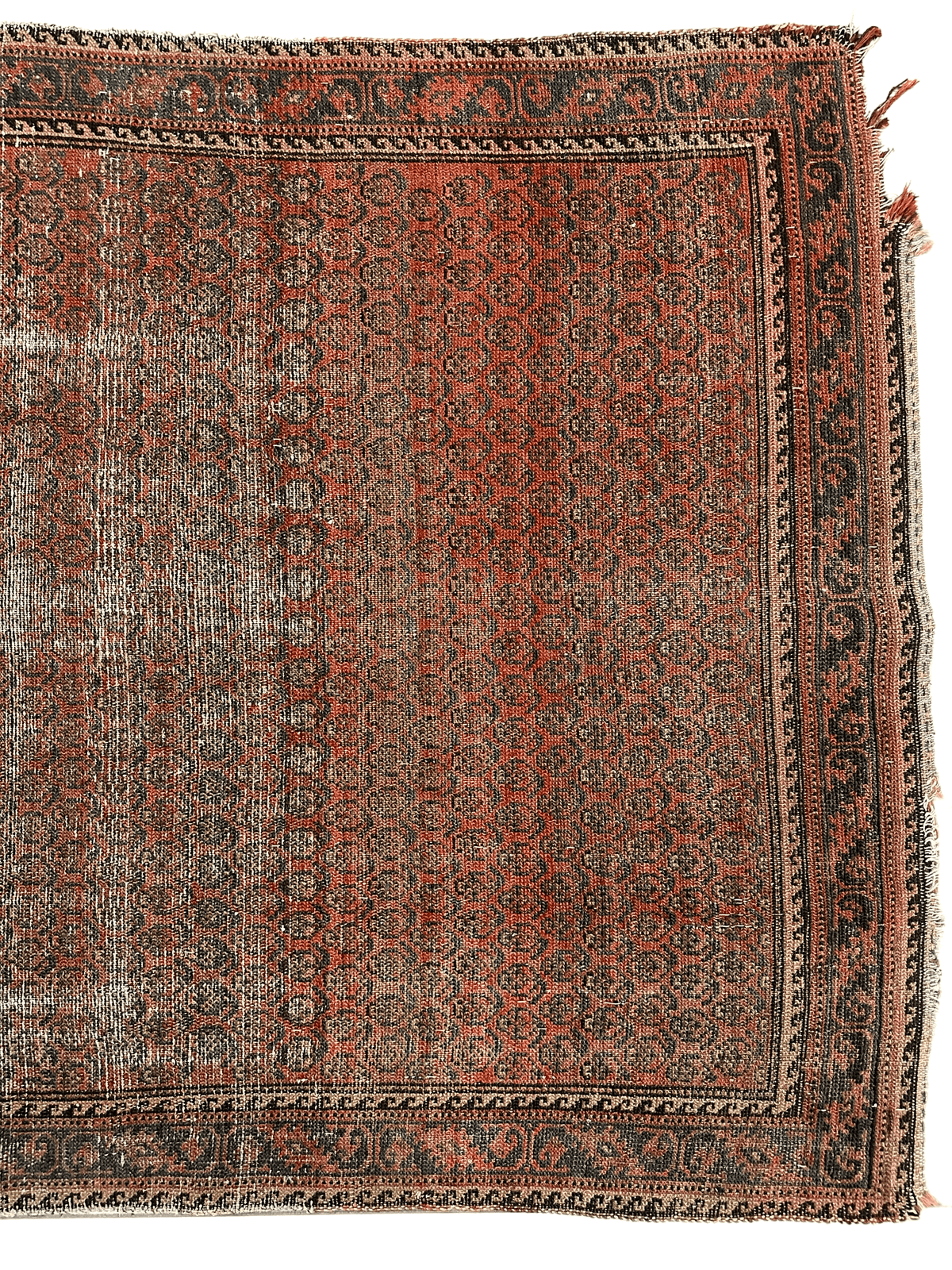 Antique Persian Boteh Rug 3'8" x 5'1", Hand-Knotted Wool, c. 1900, view 3