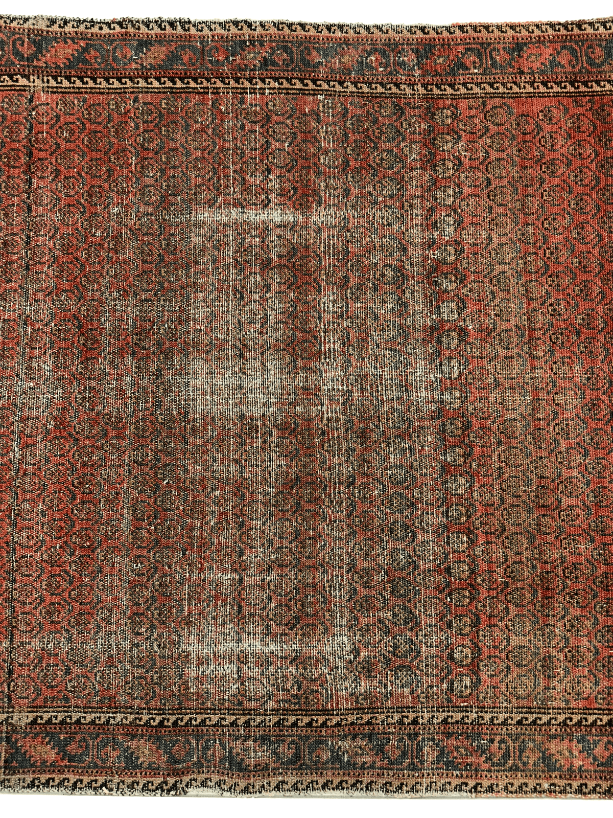 Antique Persian Boteh Rug 3'8" x 5'1", Hand-Knotted Wool, c. 1900, view 4