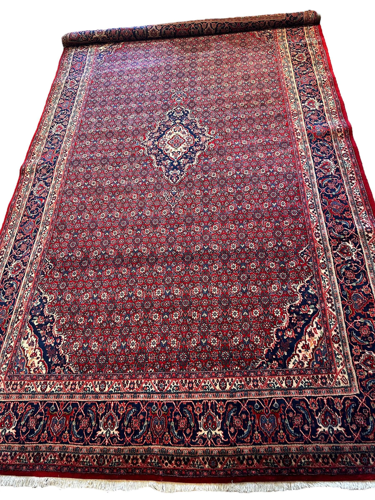 Vintage Persian Moud Rug 8'7" x 14'1", Hand-Knotted Wool, 1950s
