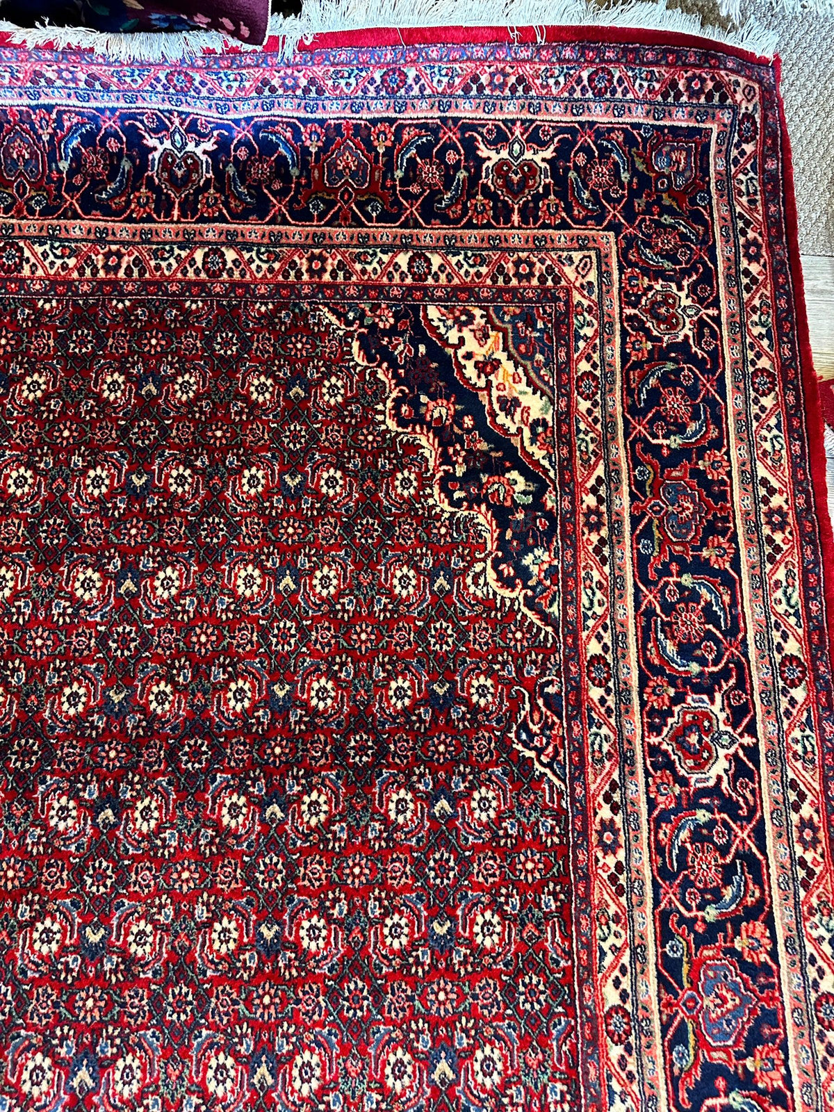 Vintage Persian Moud Rug 8'7" x 14'1", Hand-Knotted Wool, 1950s, view 12
