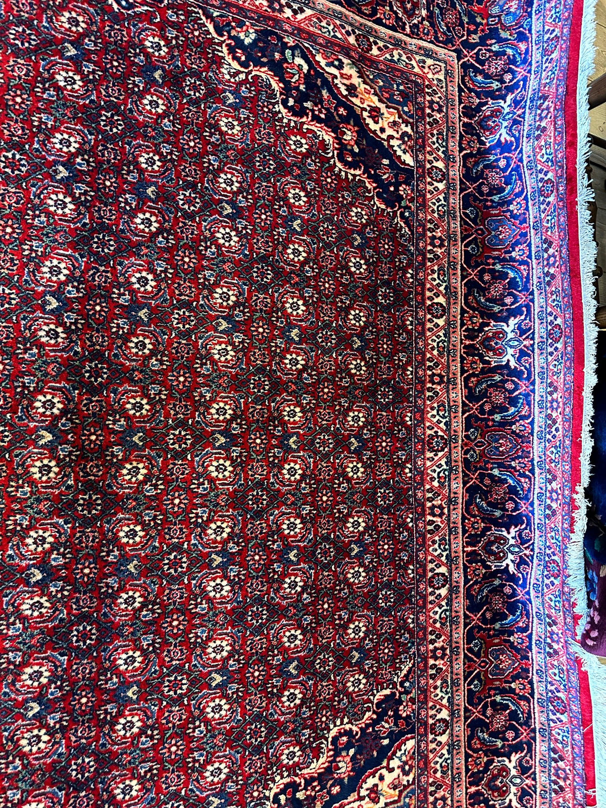 Vintage Persian Moud Rug 8'7" x 14'1", Hand-Knotted Wool, 1950s, view 13