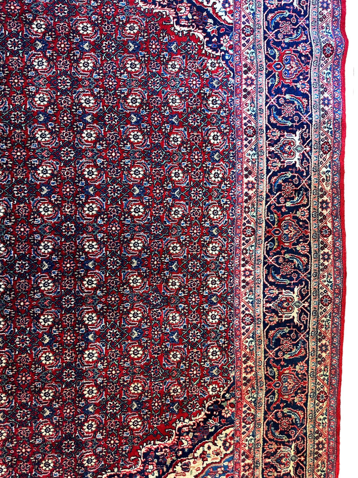 Vintage Persian Moud Rug 8'7" x 14'1", Hand-Knotted Wool, 1950s, view 6